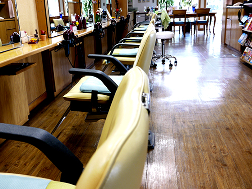 Get Adobe Flash player